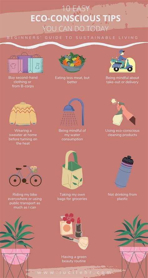 Beginners’ Guide to Sustainable Living: 10 Easy Eco-Conscious Tips You ...