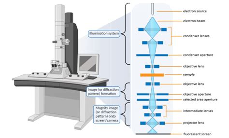 Transmission Electron Microscopy | Nanoscience Instruments