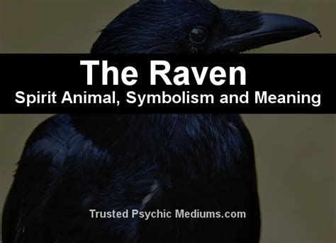 The Raven Spirit Animal - A Complete Guide to Meaning and Symbolism. (2022)