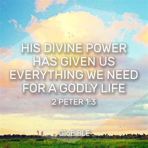 Everything We Need for a Godly Life