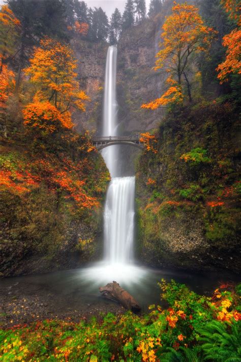 Multnomah Falls with autumn colors | Autumn scenery, Waterfall, Scenery