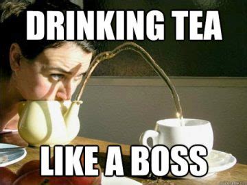 50+ Hilarious Tea Memes Only A True Tea Addict Can Relate