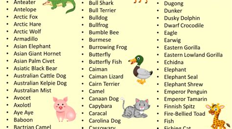 Sikkim Animals Name List - Animal Names: Types Of Animals With List ...