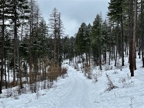 Embracing Winter in Glacier Country Montana | The Official Western ...