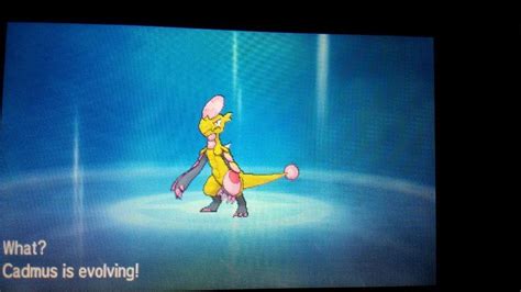 Pokemon Moon: Shiny Kommo-o | Shiny Pokemon Amino Amino