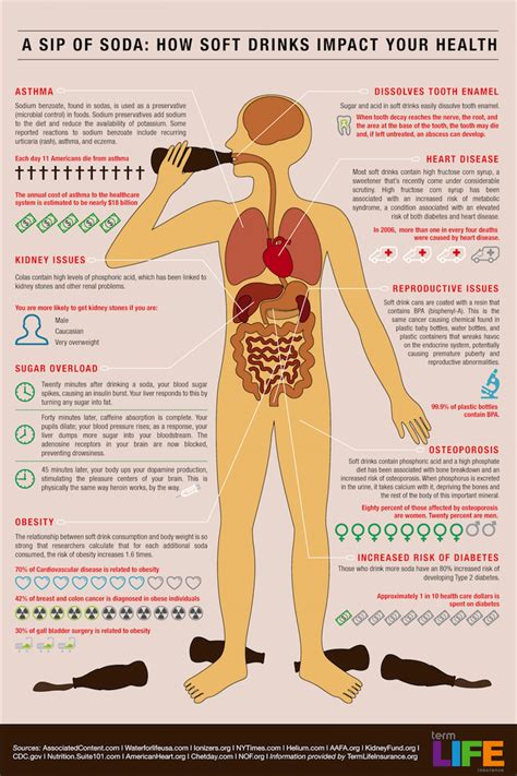 The Hard Truth About Soft Drinks Infographic