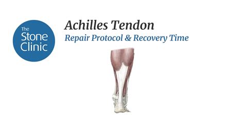 Achilles Tendon Repair Rehab Protocol & Recovery Time Frame