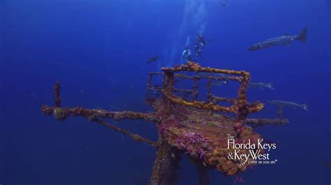 Dive The Wreck Of The Duane, Key Largo - YouTube