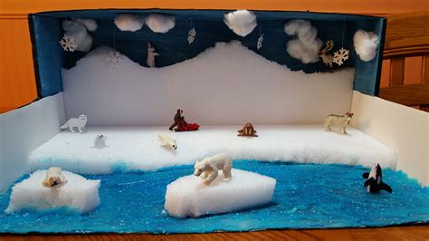 Arctic Seal Diorama | Second Grade Project