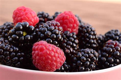 Free picture: blackberry, fruit, sweet, food, berry, raspberry, dessert