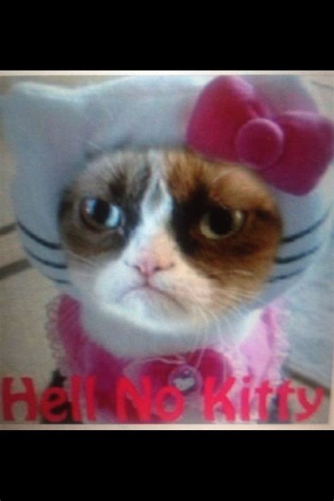 Hello kitty | Funny grumpy cat memes, Grumpy cat, Grumpy cat humor