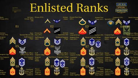 US Military (All Branches) Enlisted Ranks Explained