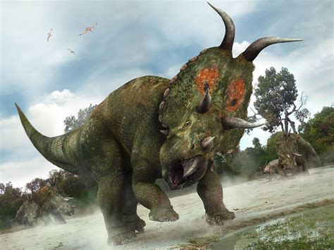 Diabloceratops - Alchetron, The Free Social Encyclopedia