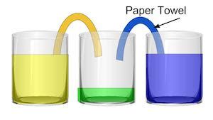 Capillary Action Experiment - Science Class [2021] | Study.com