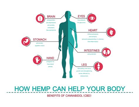 CBD – therapeutic power of plants,