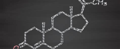 The Long-Term Effects of Hormone Replacement Therapy