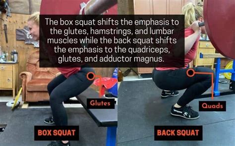 The Ultimate Box Squat Workout Guide