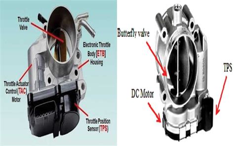 Throttle Body Problem Signs and Solutions - A New Way Forward ...