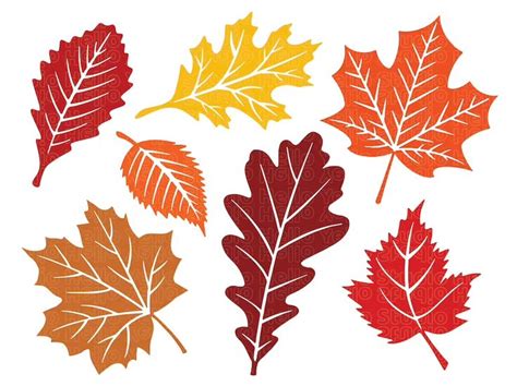 Fall Leaves Svg Fall Svg Fall Leaf Svg Bundle Fall Png - Etsy | Autumn leaves, Clip art, Leaf ...