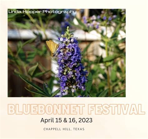 2023 Texas Bluebonnet Festival - Insite Brazos Valley Magazine — Be in the know.