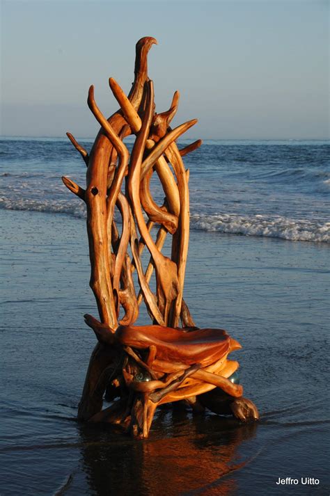 These gorgeous sculptures started as driftwood on the beach