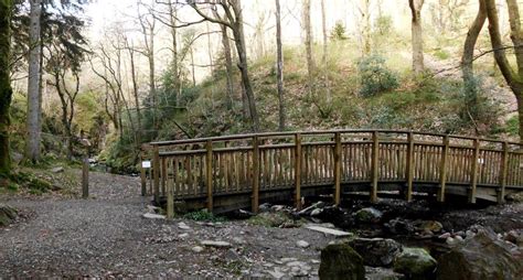 My Daily Walk: The Waterfall Walk, Aberfoyle, Queen Elizabeth Forest Park