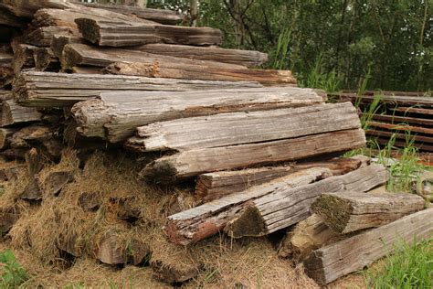 Wood Pile Logs Free Stock Photo - Public Domain Pictures