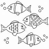 Fishes  Coloring Stock Vector Image 40145638 sketch template