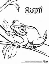 Puerto Rico Coqui Coloring Pages sketch template