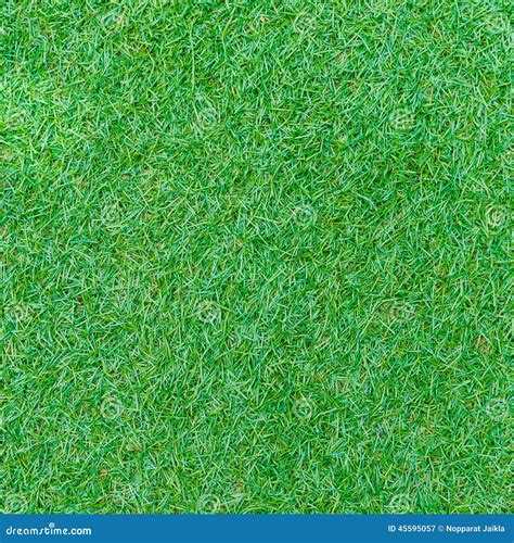 Seamless Green Grass Texture from Golf Course Stock Image - Image of growth, closeup: 45595057