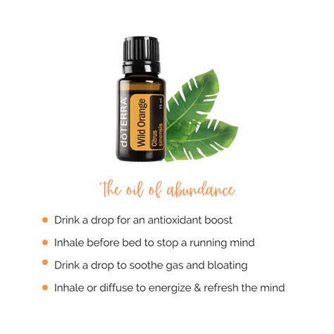 Wild Orange Essential Oil Benefits, Uses, & Sourcing with doTERRA | Co-Impact Sourcing Series