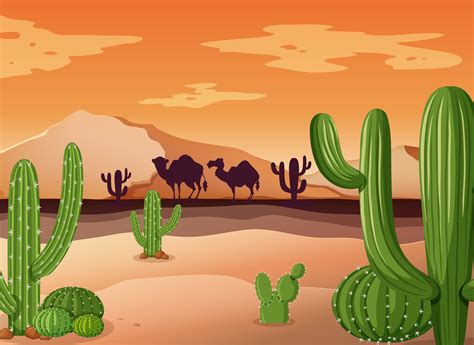 Desert scene with cactus and sunset 301997 Vector Art at Vecteezy