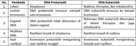 Update Apa Itu Dna Prokariotik