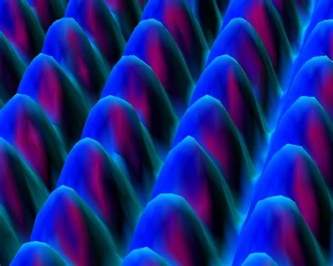 Quantum Tunnelling : Scanning Tunnelling Microscopy