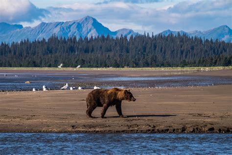 Lake Clark National Park — The Greatest American Road Trip