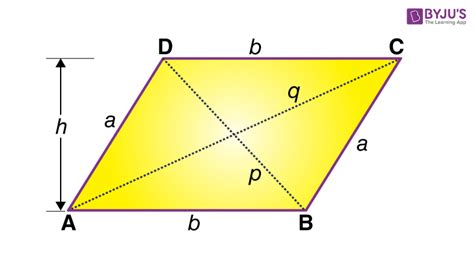 Parallelogram - Definition, Formulas, Properties and Examples (2022)