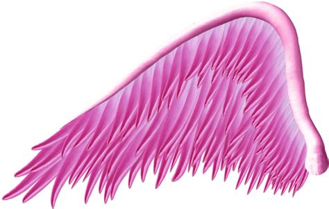 Free Angel Wings Png, Download Free Angel Wings Png png images, Free ...