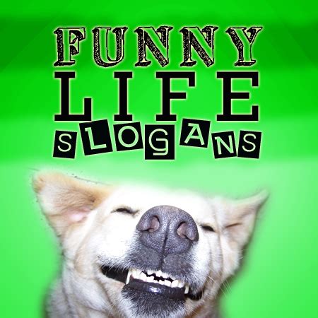 Funny Life Sayings