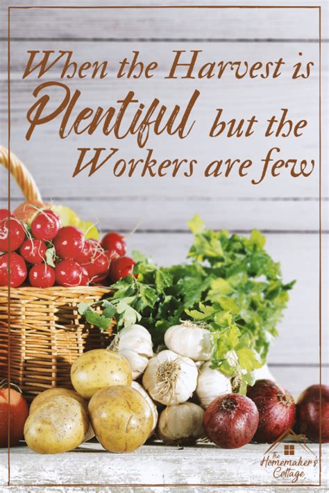 The Harvest is Plentiful, but the Workers Are Few - The Homemakers Cottage