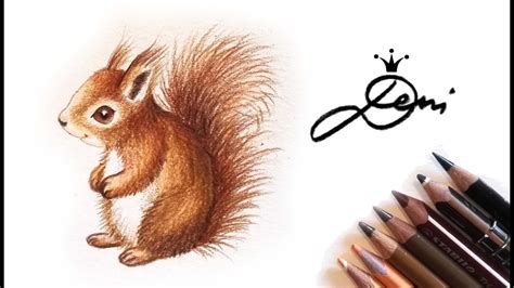 Eichhörnchen Zeichnung 🐿 Squirrel Drawing 🐿 катеричка рисунка 🐿 dessin écureuil 🐿 ardilla de ...