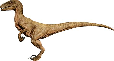 Velociraptor: A Hunter's Anatomy and Behavior