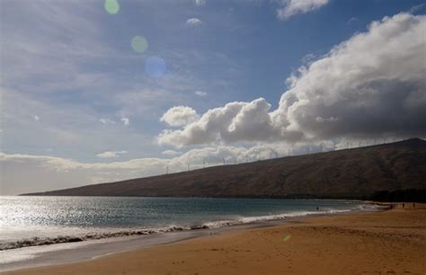 Maalaea Beach (Maui) - All You Need to Know Before You Go (with Photos) - TripAdvisor