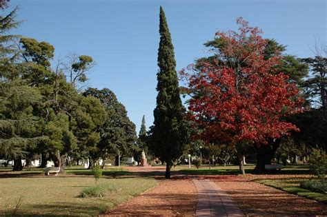 Las Flores, provincia de Buenos Aires | Tripin Argentina