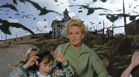 'The Birds' (1963) review: How does the Hitchcock classic hold up today? • AIPT