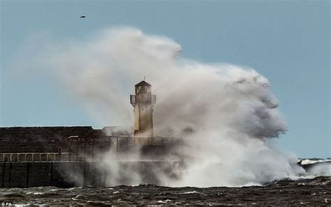 UK weather sees Storm Gertrude's 144mph winds blow down trees and lorries | Daily Mail Online