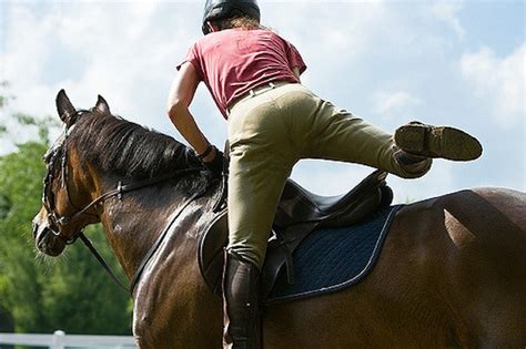 #TBT: Equine Law: Considerations for Lease Agreements | HORSE NATION