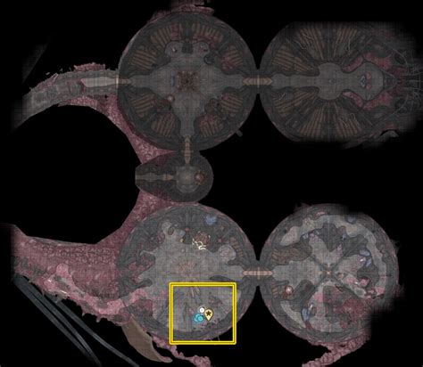 Should You Mutilate The Brain Or Not In BG3? - Xoenia