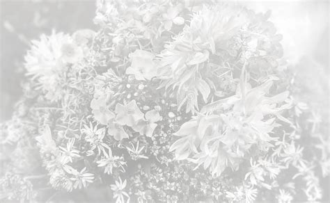 Floral Background in Light Gray Tone Stock Photo - Image of abstract ...