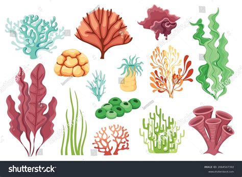 Ocean Plants Clipart