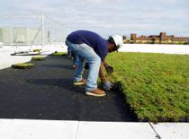 DeVry University, Chicago - Greenroofs.com